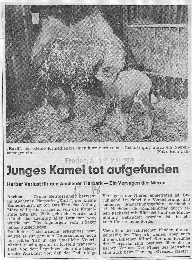 1975_05_16_Aachener_Zeitung