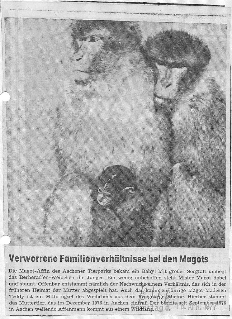 1977_04_16_Aachener_Zeitung