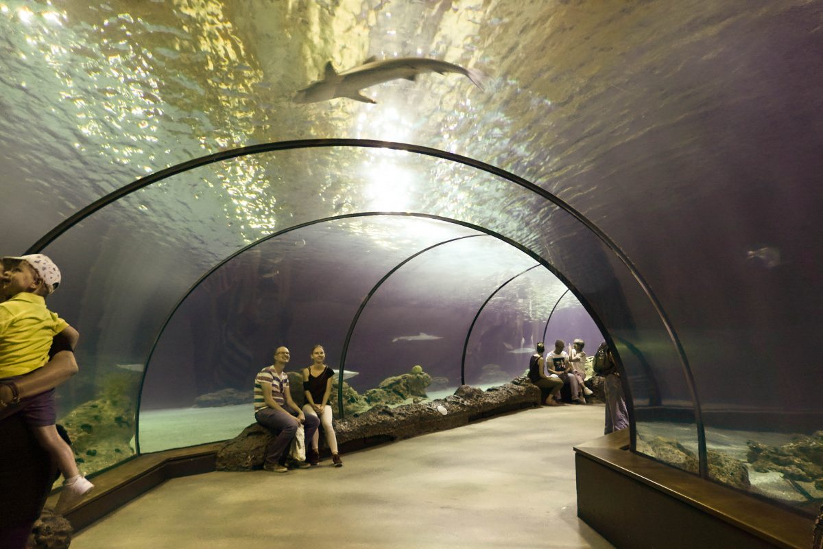Aquarium im Diergaarde Blijdorp Rotterdam (Foto: Herbert Sliwinski)